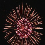 Brocade crown w red pistil